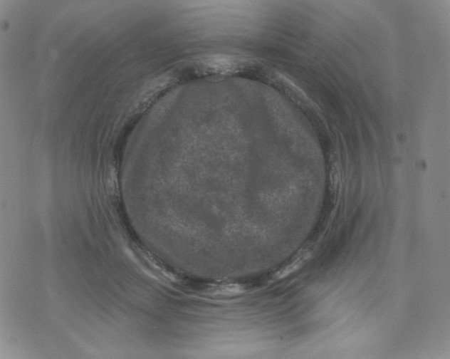 X0000071850459200607211856