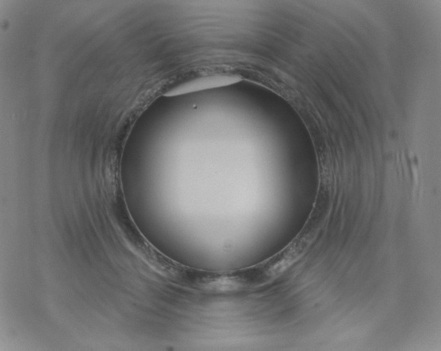 X0000071850460200607211856