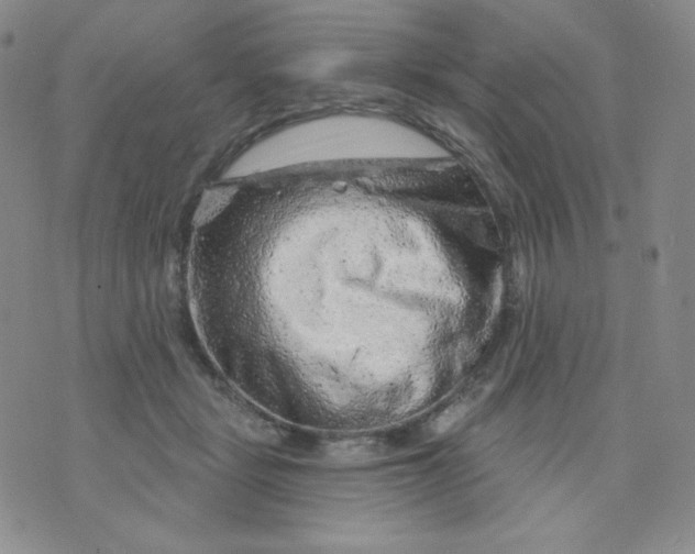 X0000071850461200607211856