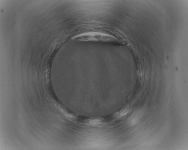 X0000071850462200607211856