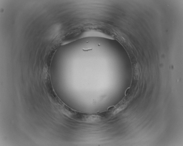 X0000071850463200607211856