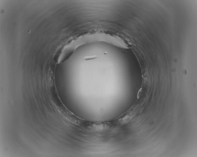 X0000071850464200607211856