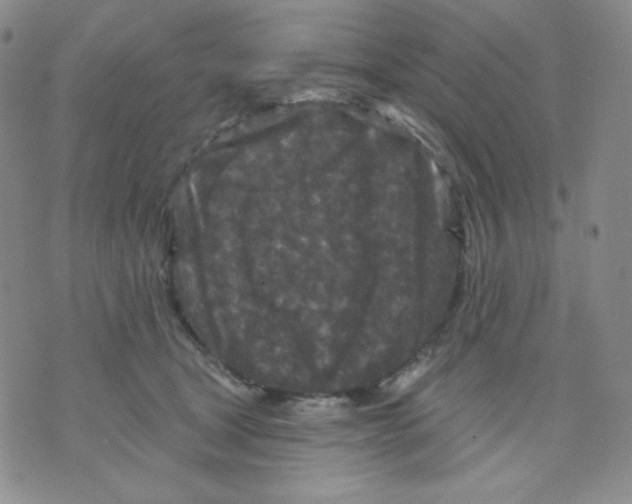 X0000071850465200607211856