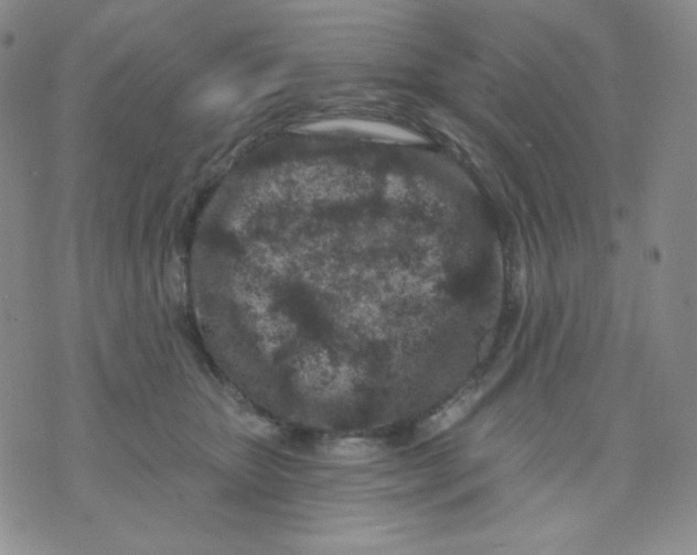 X0000071850467200607211856