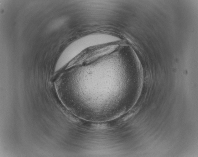 X0000071850469200607211857