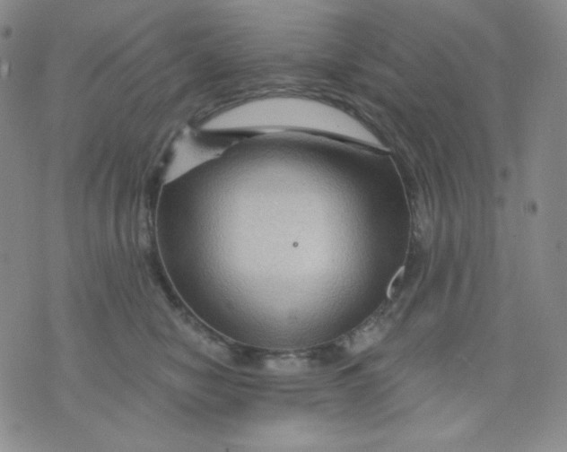 X0000071850470200607211857