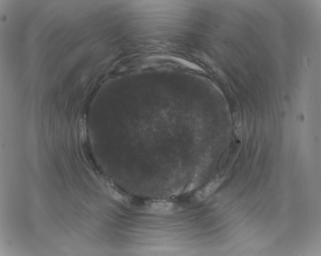 X0000071850471200607211857