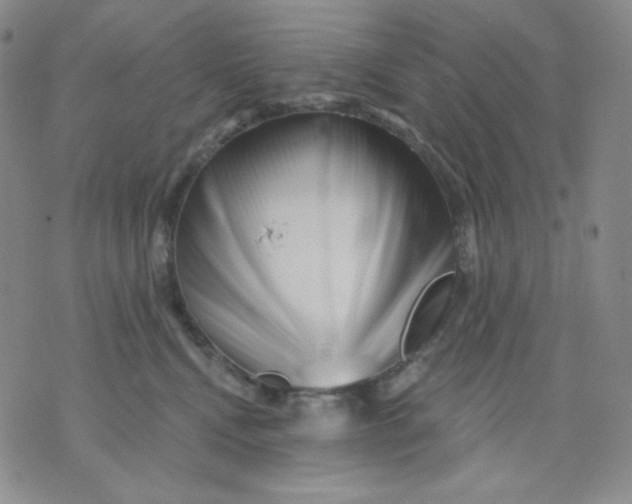 X0000071850472200607211857