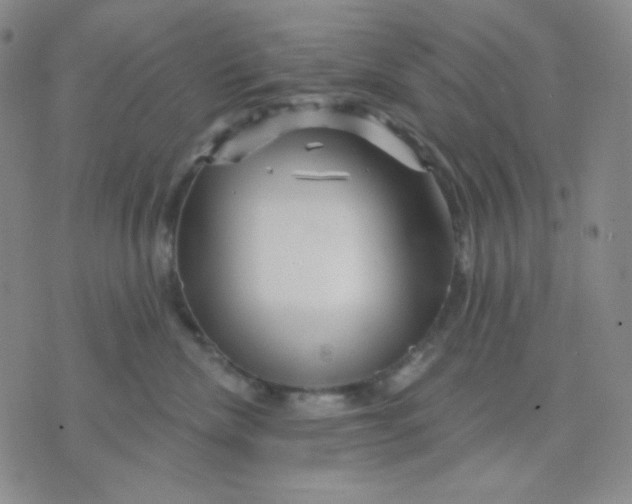 X0000071850476200607211857