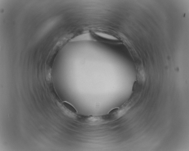 X0000071850477200607211857