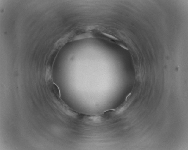 X0000071850478200607211857