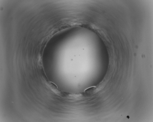 X0000071850480200607211857