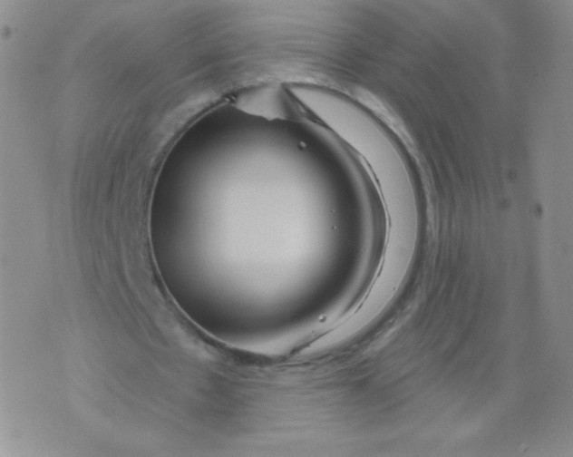 X0000071850481200607211856