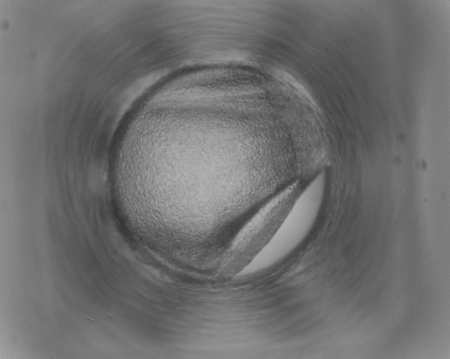 X0000071850483200607211856