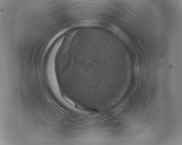 X0000071850484200607211856