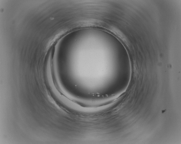 X0000071850485200607211856