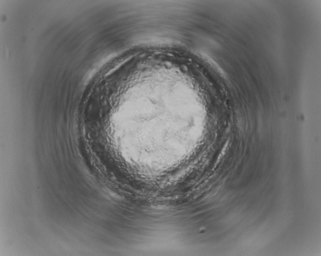 X0000071850487200607211856