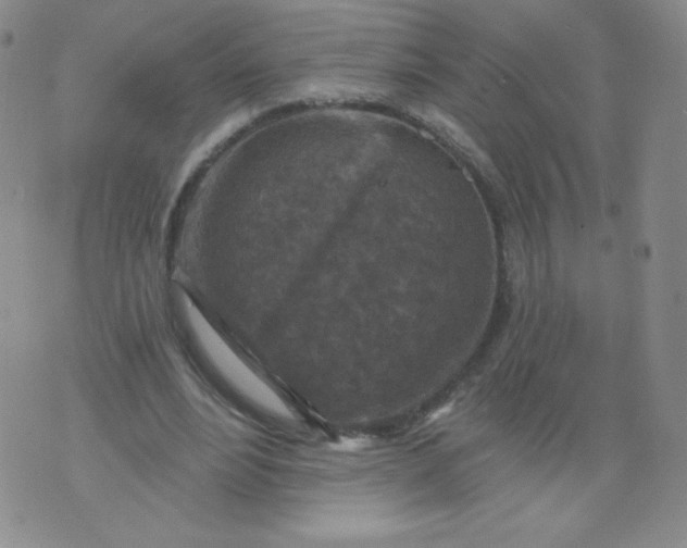 X0000071850488200607211856