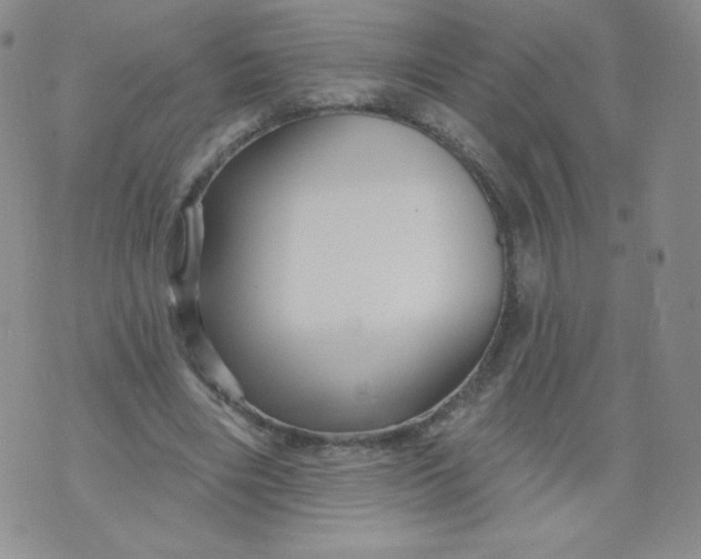 X0000071850490200607211856