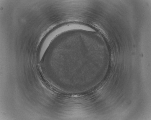 X0000071850492200607211856