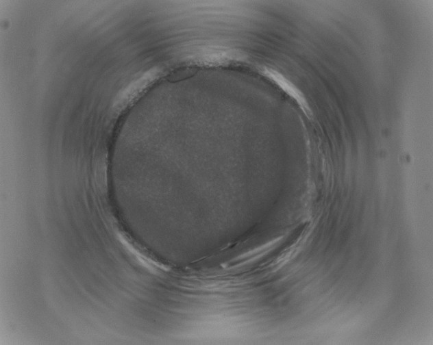 X0000071850493200607211856