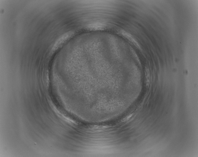 X0000071850494200607211856