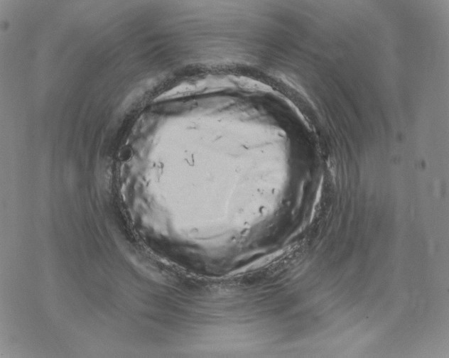 X0000071850495200607211856