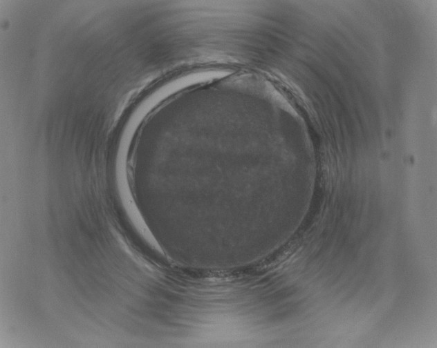 X0000071850496200607211856