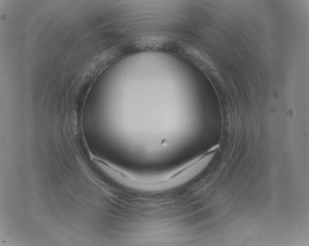 X0000071850498200607211856