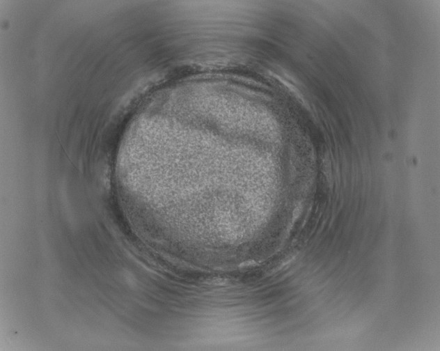 X0000071850499200607211856