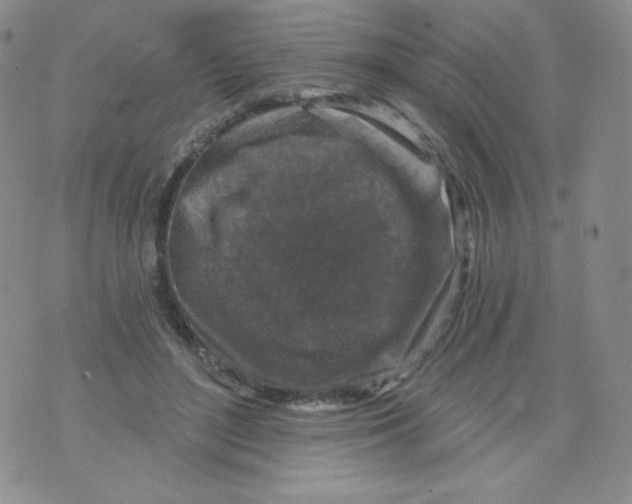 X0000071850500200607211856