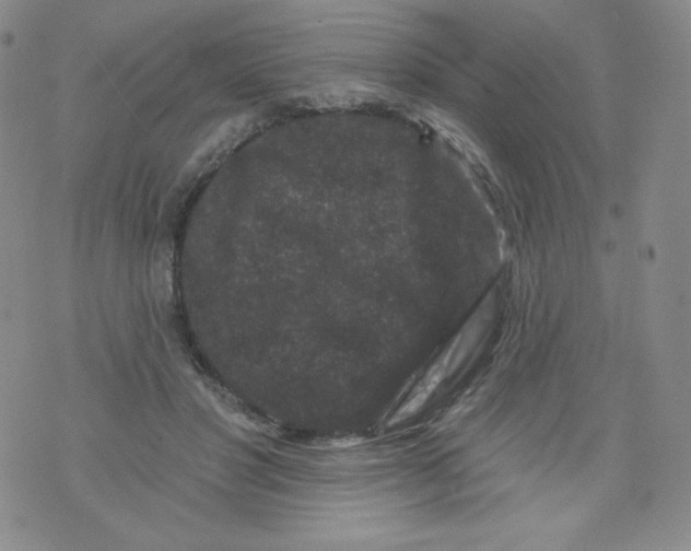 X0000071850501200607211856