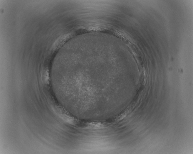 X0000071850502200607211856