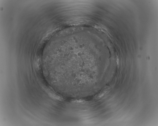 X0000071850503200607211856