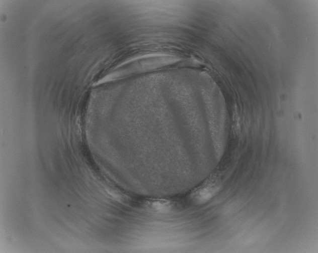 X0000071850506200607211856