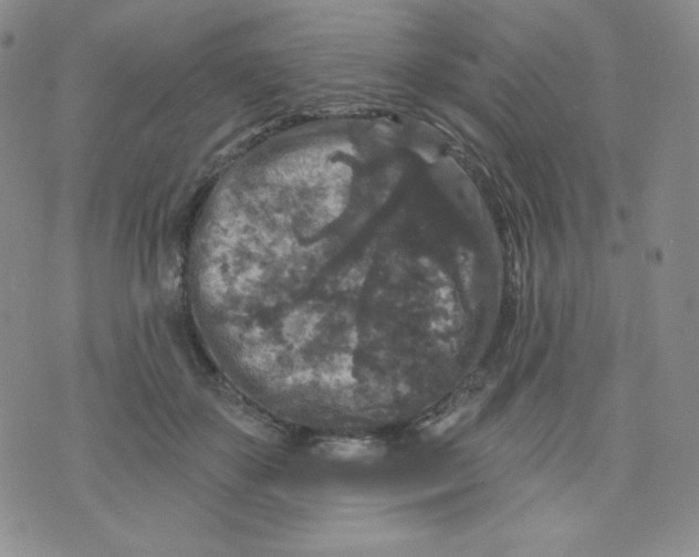 X0000071850507200607211856