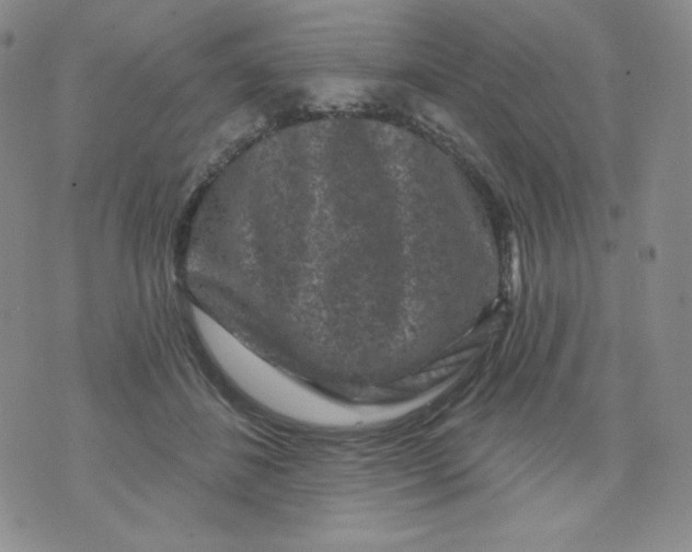 X0000071850508200607211855