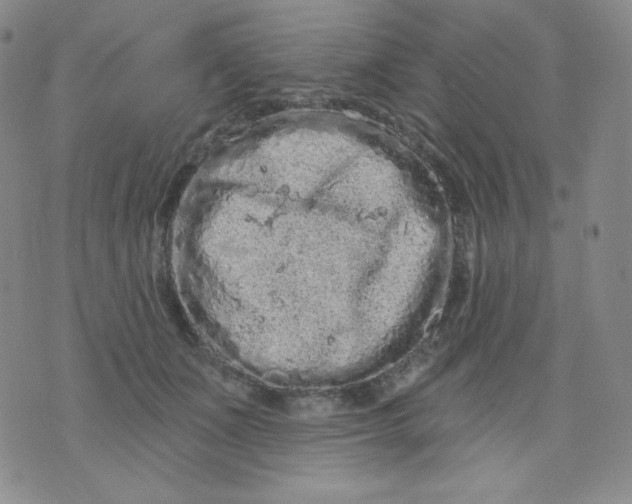 X0000071850511200607211855