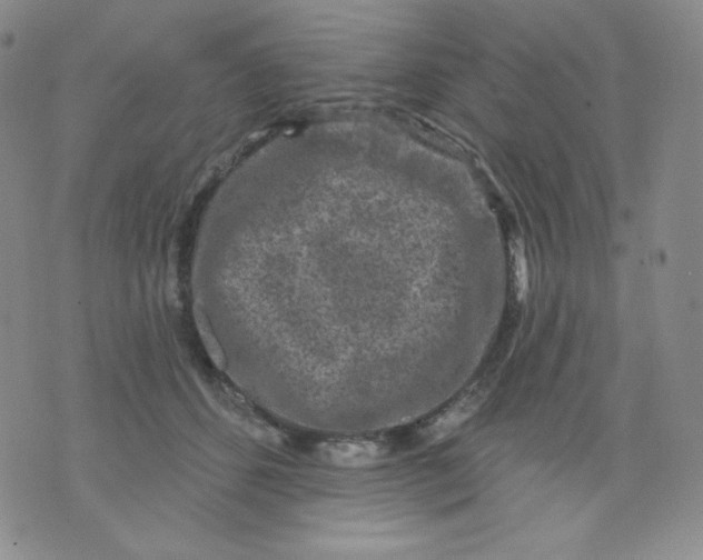 X0000071850512200607211855