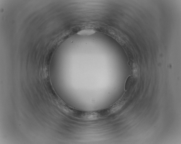 X0000071850514200607211855