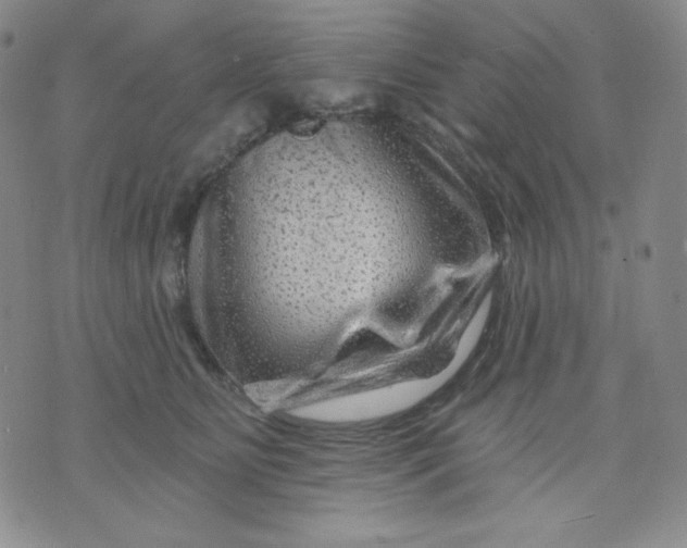 X0000071850515200607211855