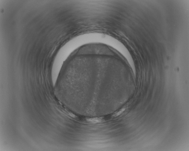 X0000071850516200607211855