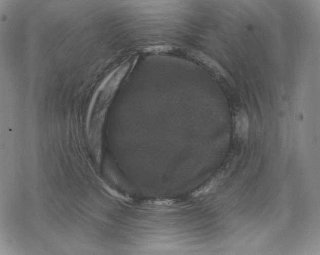 X0000071850517200607211855