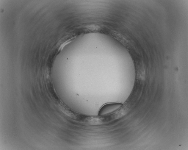 X0000071850518200607211855