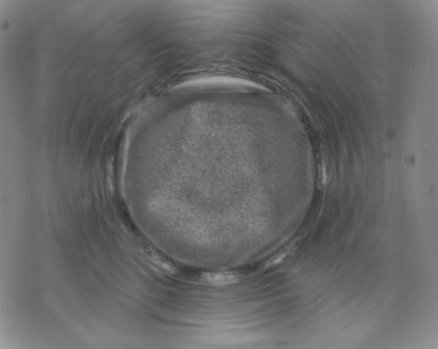 X0000071850520200607211855