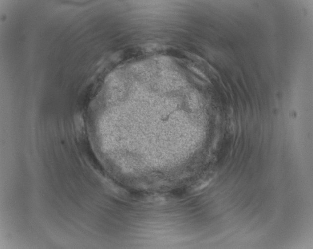 X0000071850523200607211855