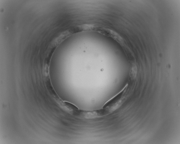 X0000071850525200607211855