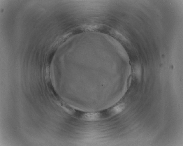 X0000071850526200607211855