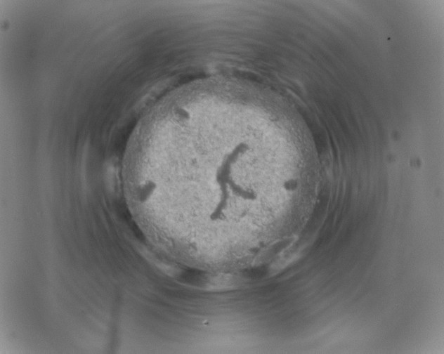 X0000071850527200607211855