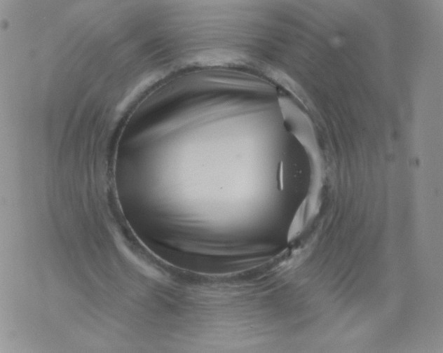 X0000071850530200607211854